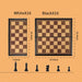 Portable Ludo, Chess & Backgammon Foldable Travel Game Set
